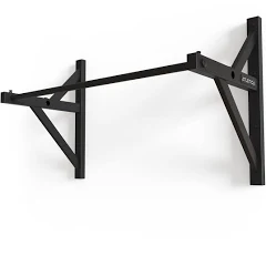 Pull Up Bar or Gymnastic Rings