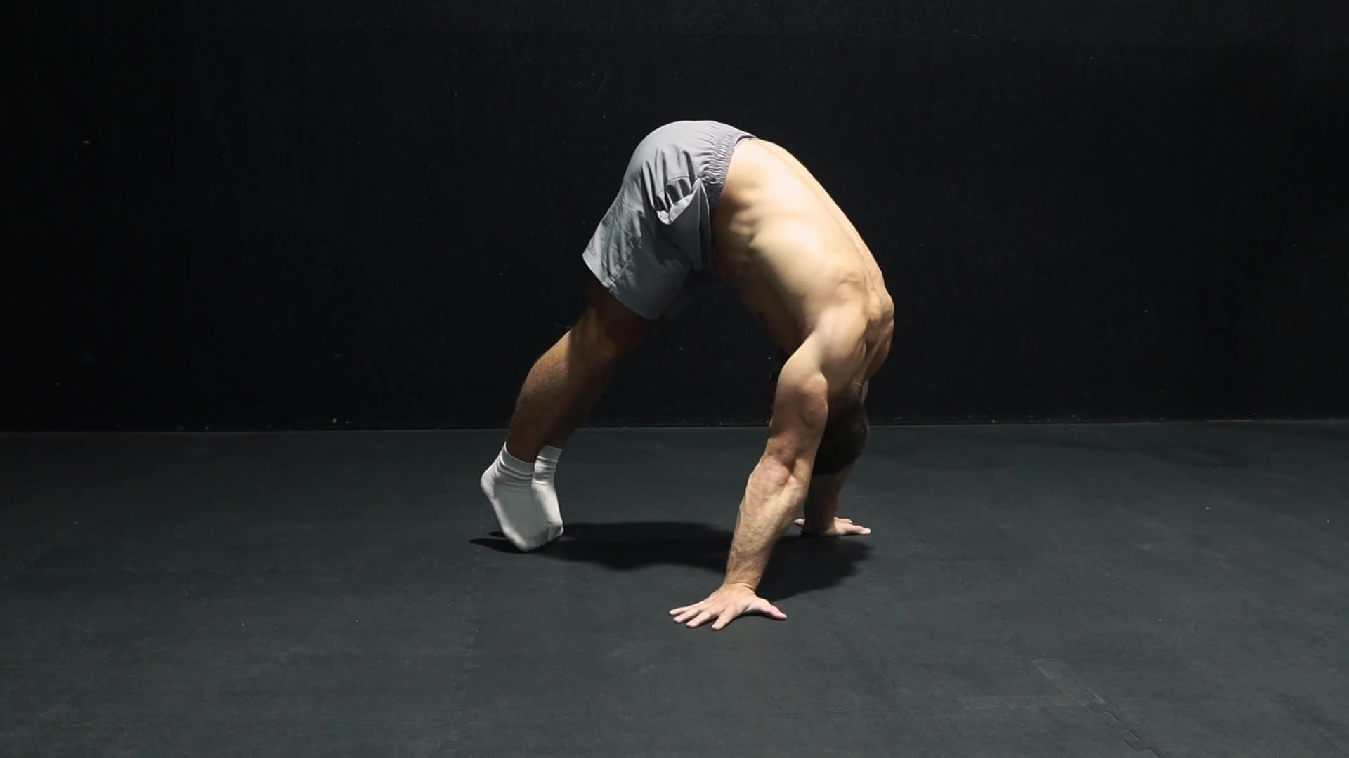 Planche Raise Progressions