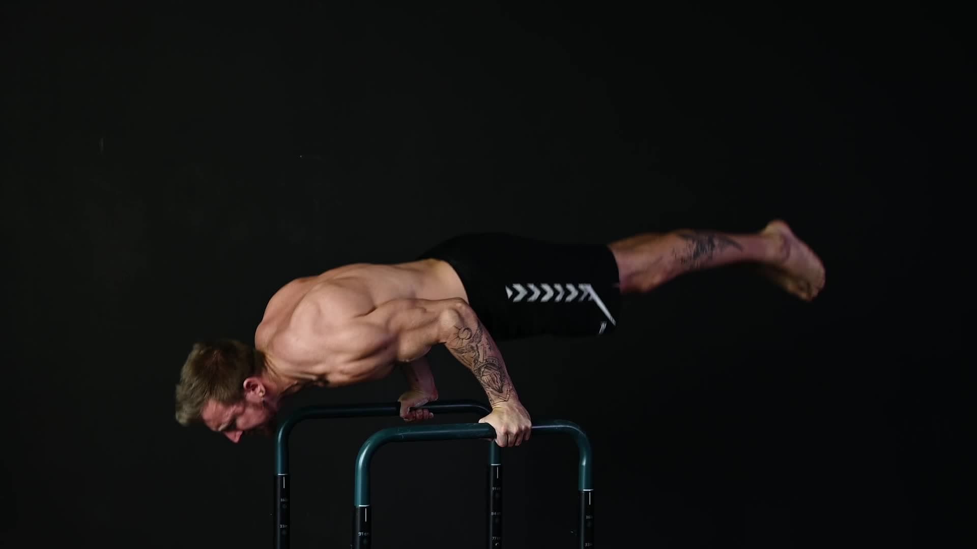 Planche Push Up Progression